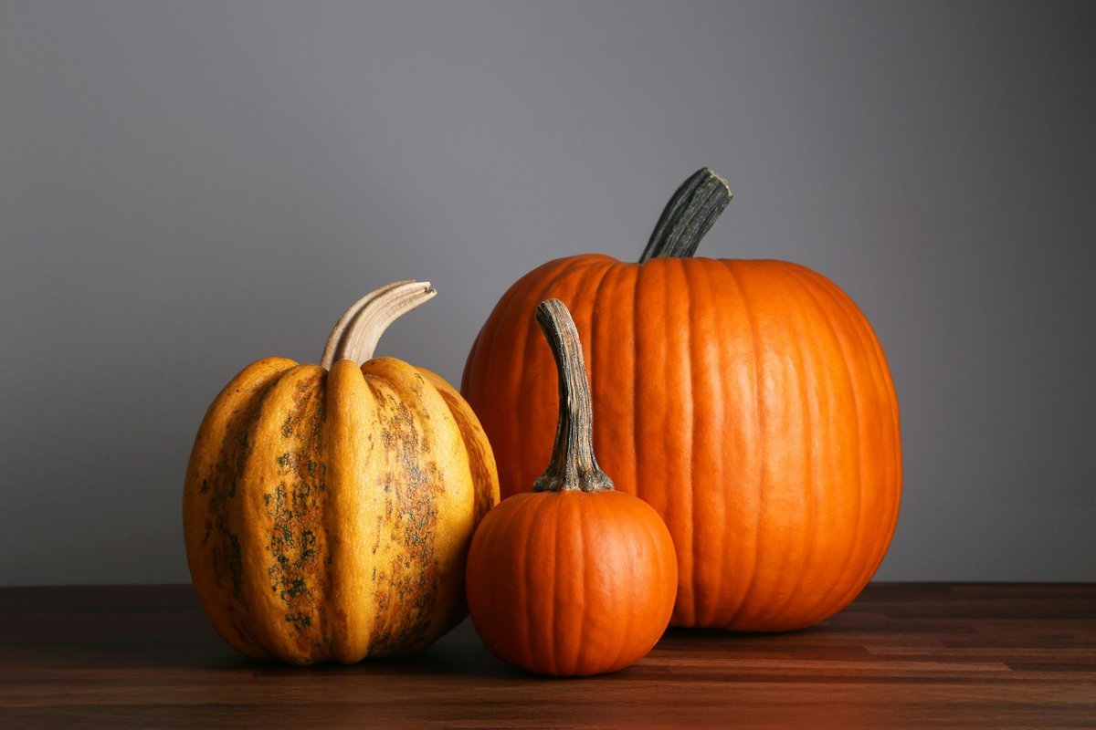 Setting a Wider Table: Meaningful Ways to Give Back This Thanksgiving Across Kingston