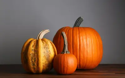 Feature image for Setting a Wider Table: Meaningful Ways to Give Back This Thanksgiving Across Kingston