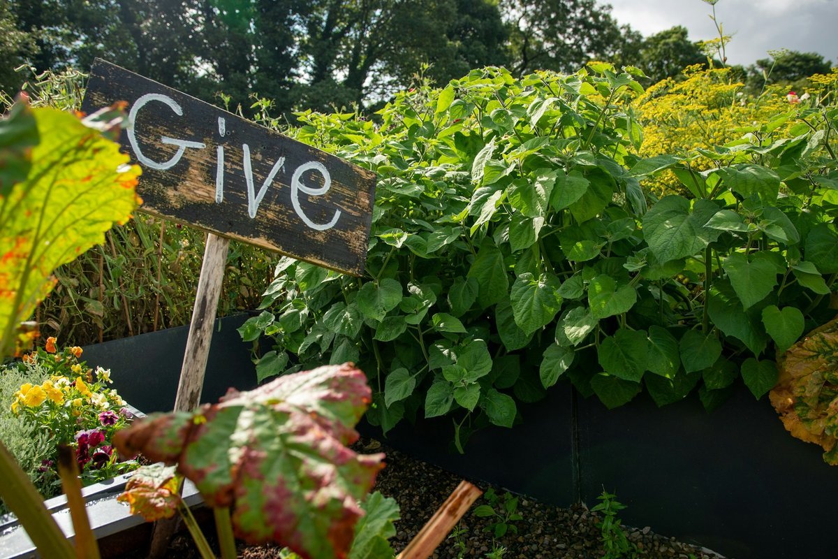 Innovate Today, Nourish Tomorrow: Reimagining Food Security Across Kingston