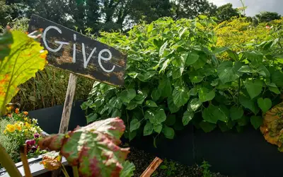 Image à la une pour Innovate Today, Nourish Tomorrow: Reimagining Food Security Across Kingston
