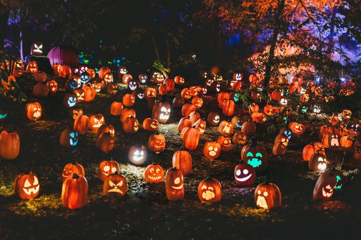 Spooktacular Ways to Give Back: Celebrating Halloween 2026 in Kingston