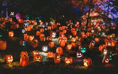 Image à la une pour Spooktacular Ways to Give Back: Celebrating Halloween 2026 in Kingston
