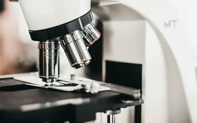 Micro-Volunteering in Kingston: How to Make a Big Difference in Just Minutes