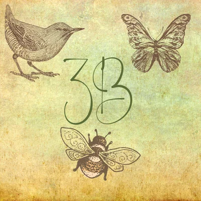 The Birds, Bees, and Butterflies Program