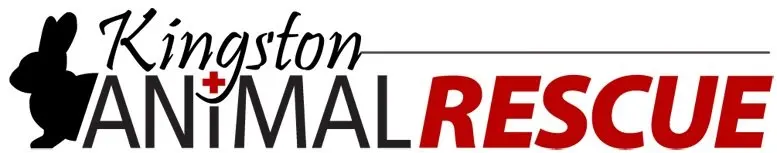 Kingston Animal Rescue