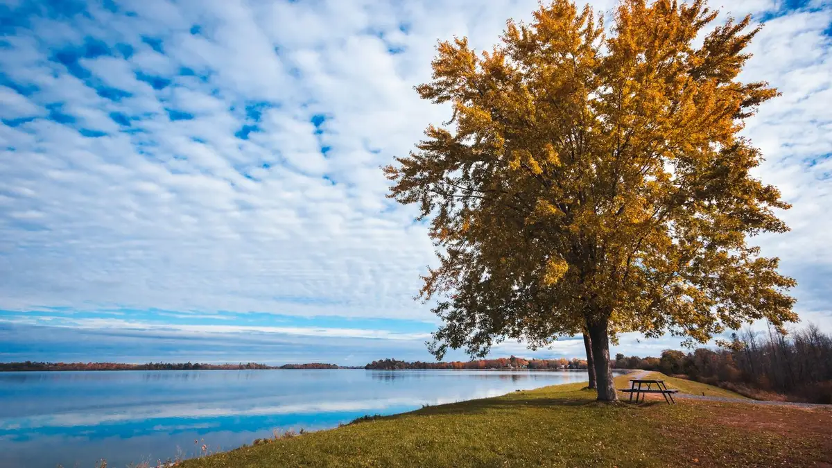 Team working together