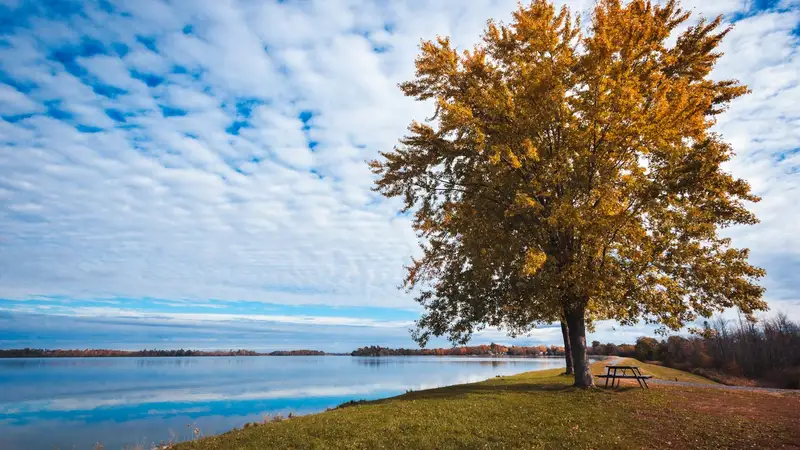 Nonprofit Organizations in Kingston